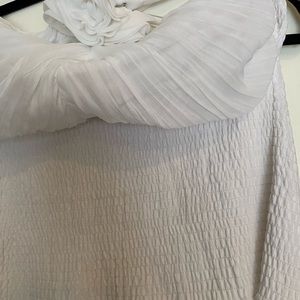 Crepe chocker backless top